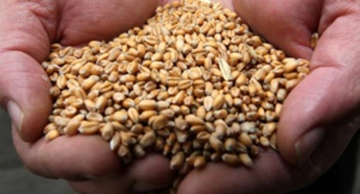 В Украине собрали более 55 млн тонн зерна