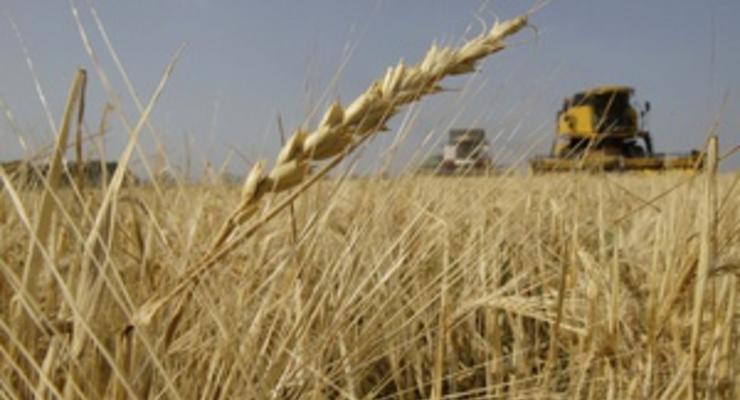 Аграрии рассказали, как довести объем урожая украинского зерна до 100 млн тонн