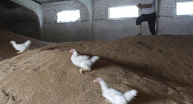 В ноябре Украина продала за рубеж более двух миллионов тонн зерна