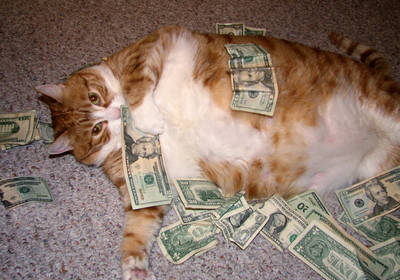 Среди котов тоже есть миллионеры