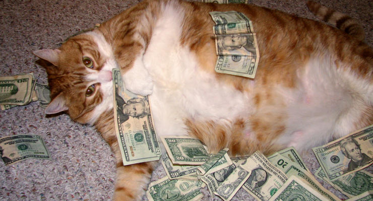 Среди котов тоже есть миллионеры