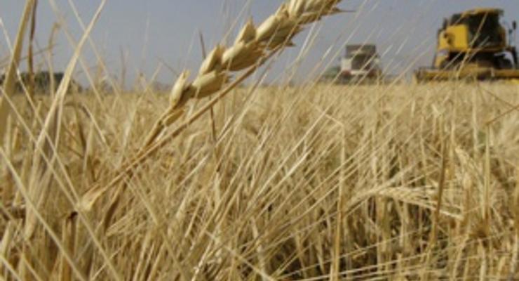 Украина за полгода экспортировала почти 10 млн тонн зерна - Минагрополитики
