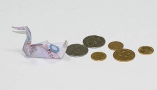 Эксперт: В руках небольшого количества толстосумов находится большинство ресурсов Украины