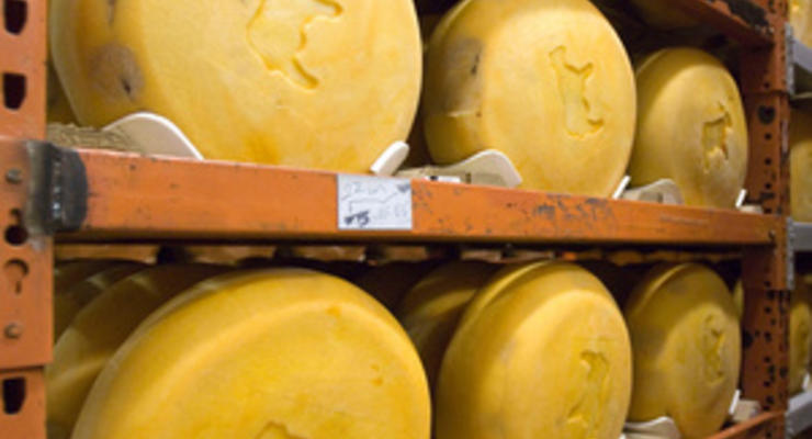 Эксперт назвал "бредом сивой кобылы" возможность введения Россией эмбарго на украинский сыр