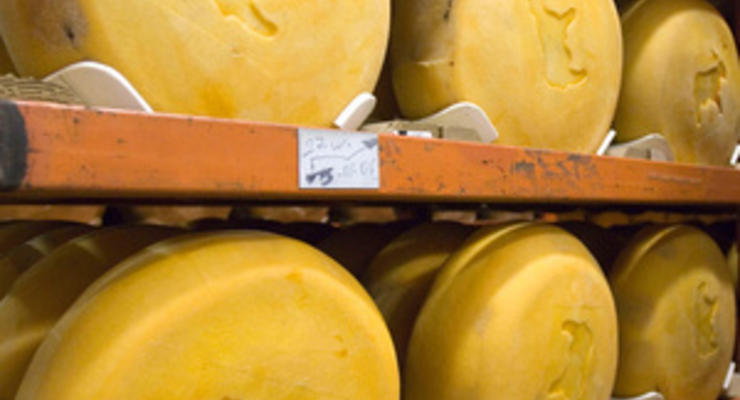 Глава Роспотребнадзора заявил, что украинский сыр может быть изъят с российского рынка