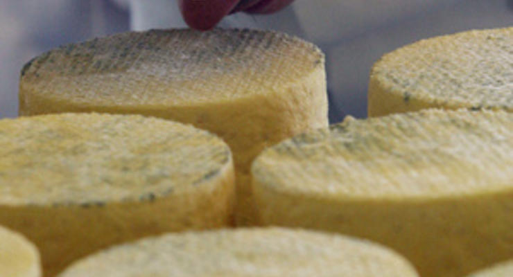 В Роспотребнадзоре заявили, что документы о запрете в России ряда украинских сыров подписаны