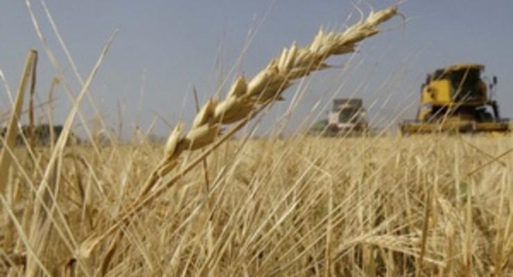 Украина не ждет дефицита зерна, несмотря на суровую зиму