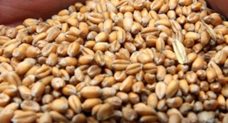 Украина в январе увеличила экспорт зерновых в Египет почти в 25 раз