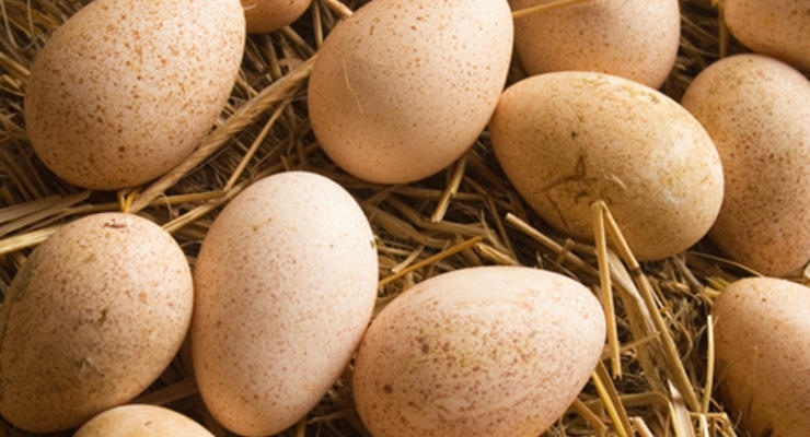 В Украине существенно подорожали яйца