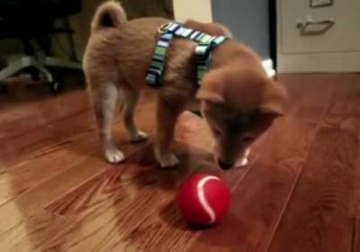 Десятка лучших рекламных роликов месяца