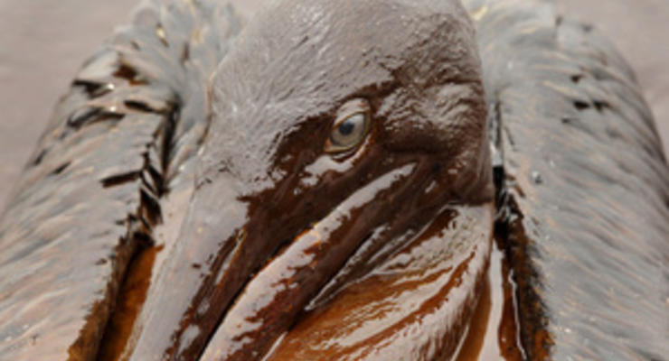BP выплатила бывшему руководителю, ушедшему после разлива нефти в Мексиканском заливе, больше миллиона долларов