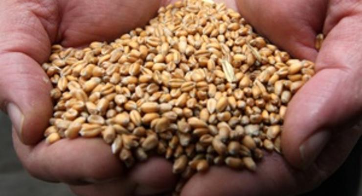 В Украине погибло 8,5% площади озимых зерновых