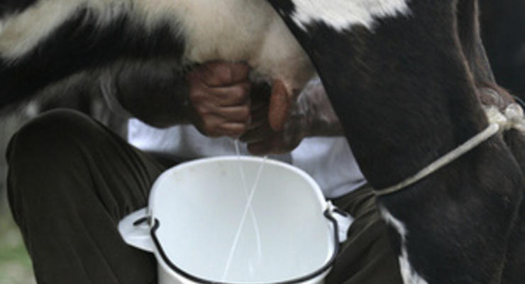 Закупочные цены на молоко продолжили падать, несмотря на старания производителей