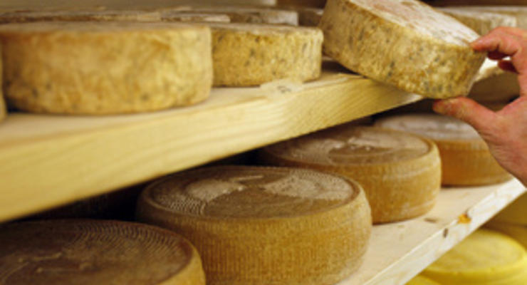 Российский рынок все еще закрыт для украинских сыров, несмотря на разрешение РФ - Госветфитослужба