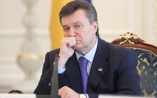 Янукович платит 200 грн за кило черешни и 300 за клубнику