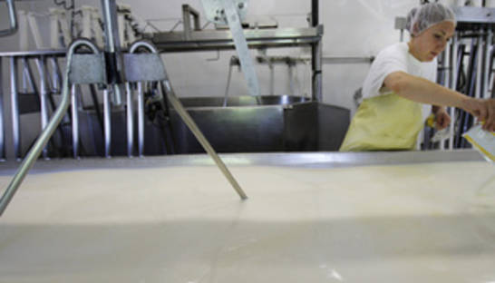 Украина разрешила ввоз мясомолочной продукции еще восьми предприятиям Беларуси