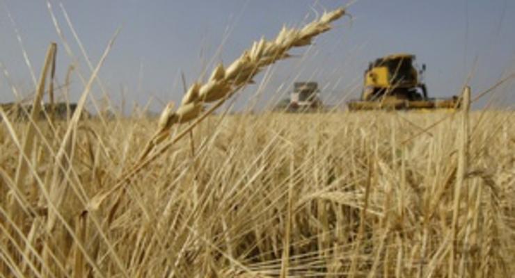 Азаров обещает не вводить ограничения на экспорт зерна до июня 2013 года