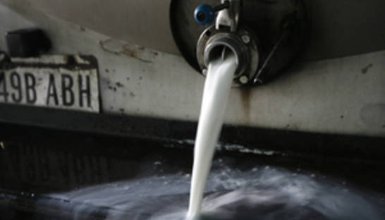 Янукович отказался вносить молоко в перечень объектов государственного ценового регулирования