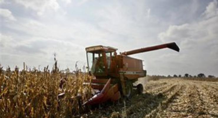 От засухи может пострадать до 50% урожая - Укргидрометцентр
