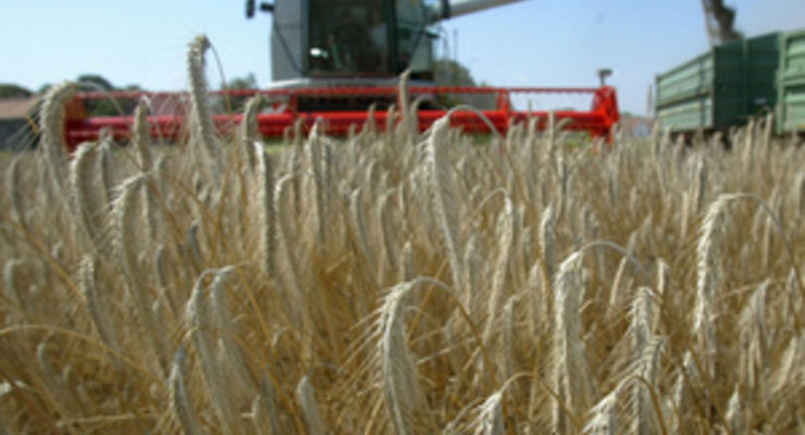 Урожай зерна под угрозой - пресса в пятницу