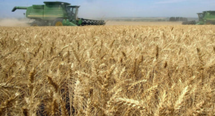Украина собрала 8 млн тонн зерна - премьер
