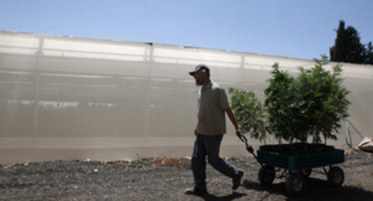 Президент Уругвая предлагает властям выращивать марихуану