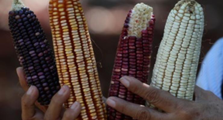 Цены на кукурузу установили новый рекорд