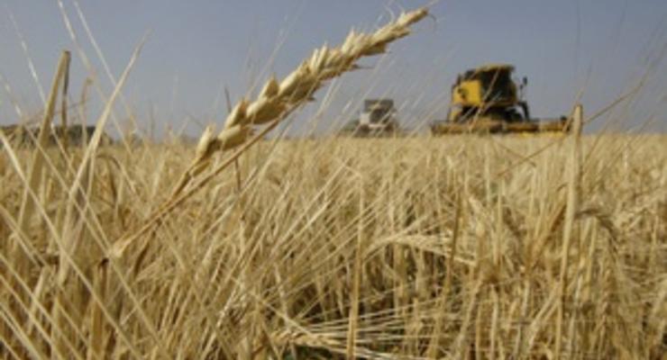 США понизили прогноз урожая зерна в Украине