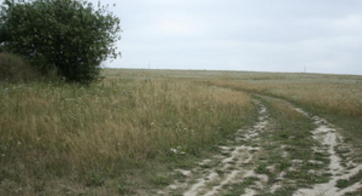 В августе 2012 года в Киевской области продано почти полторы тысячи земельных участков