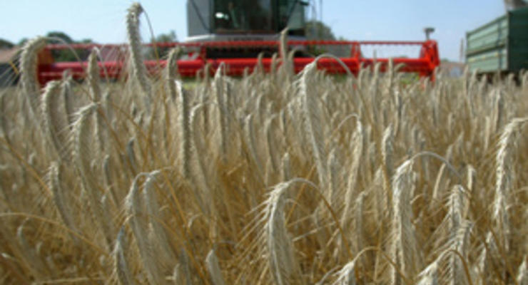 Минсельхоз США снизил прогноз урожая зерна в Украине