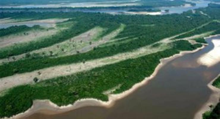 Нефтяные гиганты планируют добывать газ в амазонских джунглях