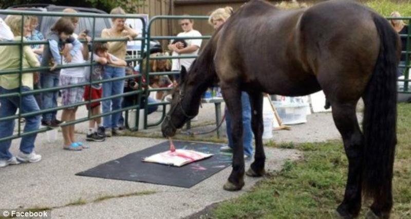 Картины, нарисованные лошадью, продают по $2500 (ФОТО, ВИДЕО) / Facebook