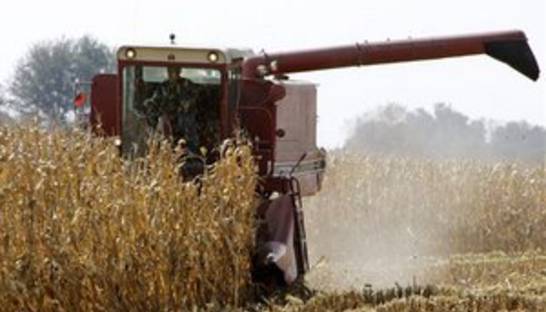 Кабмин Украины отменил обязательную регистрацию экспортных контрактов на сельхозпродукцию