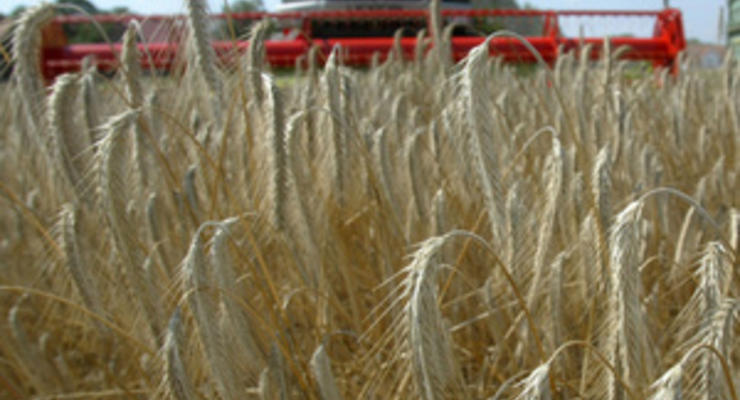 Глава Минагропрода: Украина не планирует ограничивать экспорт зерна