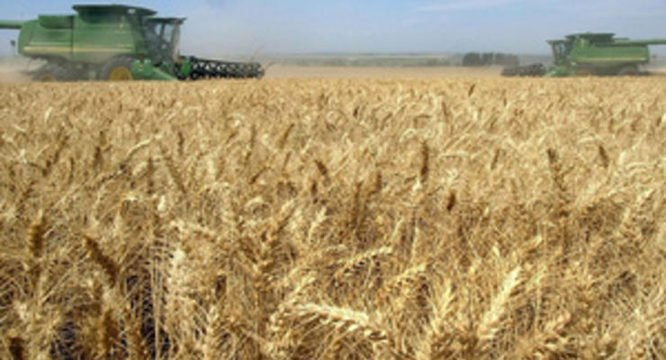 В Индии ожидают рекордный урожай пшеницы в 2013 году