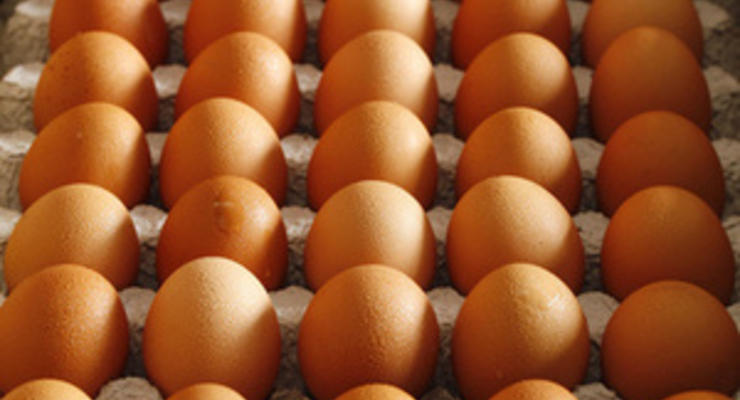 Минагрополитики рапортует о значительном росте производства яиц