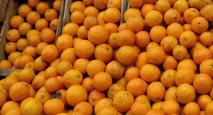 Скоро Новый год: Украина уменьшила пошлину на грузинские мандарины