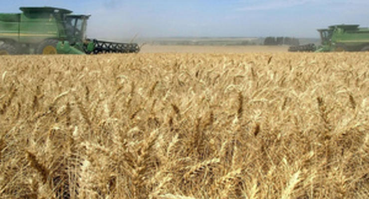 Госстат отчитался об упадке украинского сельского хозяйства