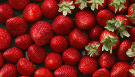 Малина по 700 за кило: ТОП странных госзакупок за наш счет