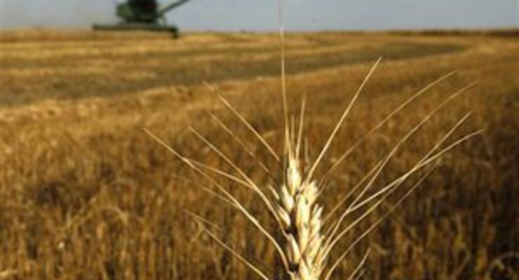 Украина за прошедший год увеличила экспорт зерна более чем на 90%