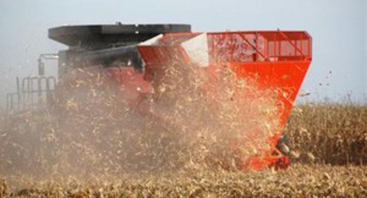 Власти ввели новые ограничения для экспортеров пшеницы