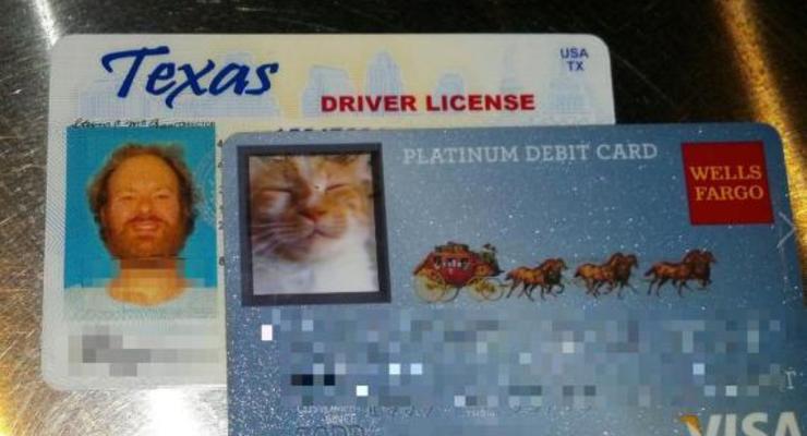 Банк выдал мужчине карту с фотографией его кота (ФОТО)