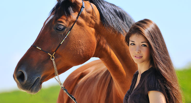 Скандал с кониной: Девять стран, активно поедающих лошадей