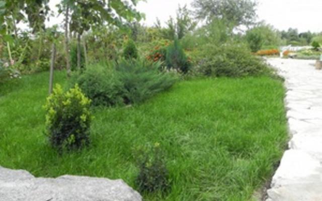 С начала года в Госземкадастре зарегистрировано более 225 тыс. участков