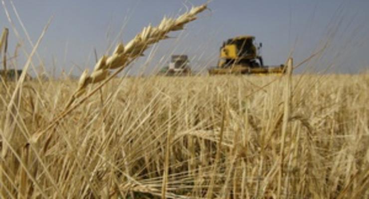 Посол США прочит Украине первые роли в мировом сельском хозяйстве