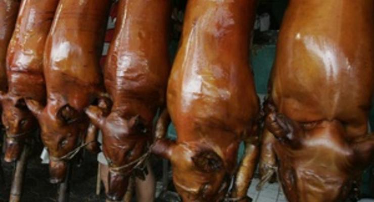 Опасаясь африканской чумы, Украина запретила ввоз свинины из Беларуси