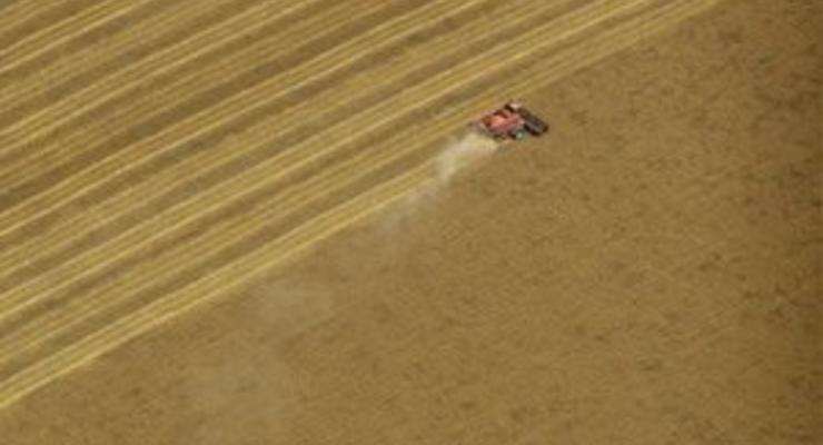 Минсельхоз США ухудшил прогноз урожая пшеницы в Украине