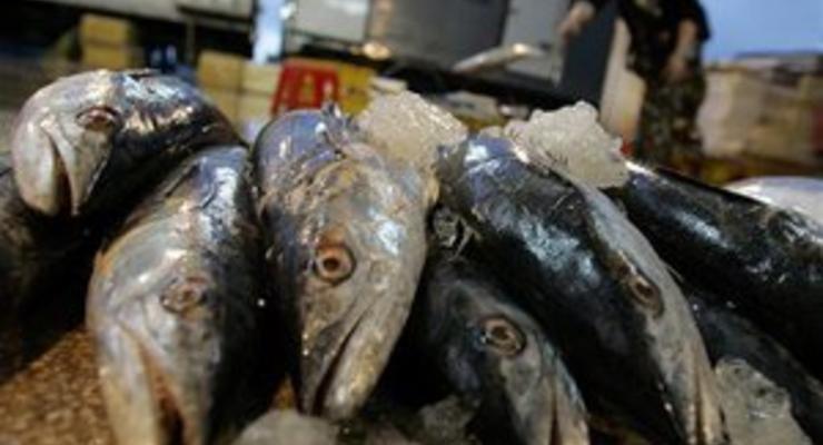 Мировые цены на рыбу поставили новый рекорд