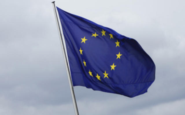 Формирование ЗСТ с ЕС может растянуться на десятилетие - документ