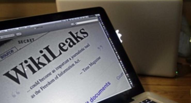 Доброволец Wikileaks был информатором ФБР